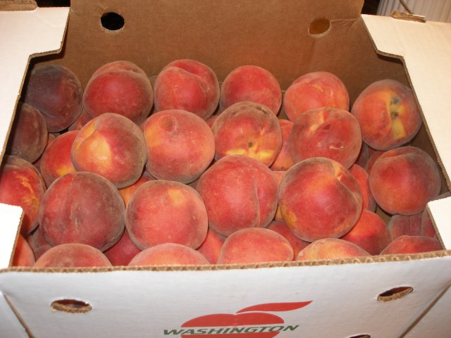 20 lbs of organic peaches